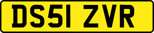 DS51ZVR