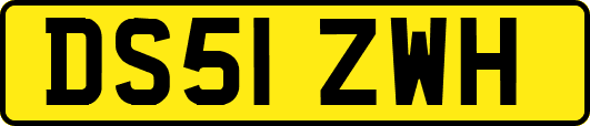 DS51ZWH