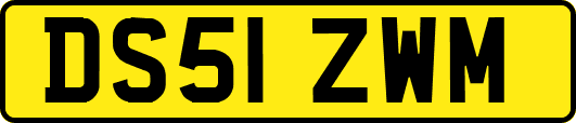 DS51ZWM