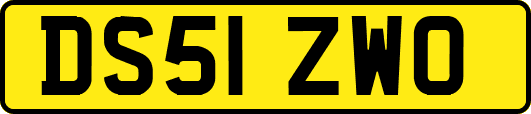 DS51ZWO