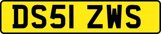 DS51ZWS
