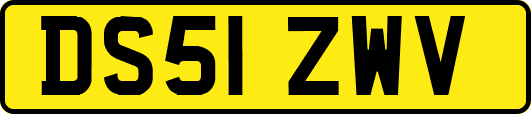 DS51ZWV