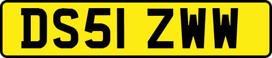 DS51ZWW