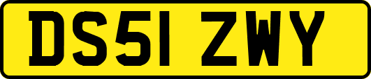 DS51ZWY