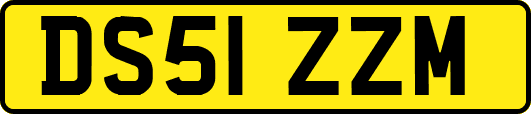 DS51ZZM