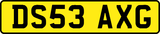 DS53AXG