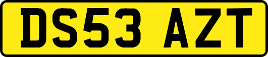DS53AZT