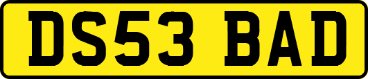 DS53BAD