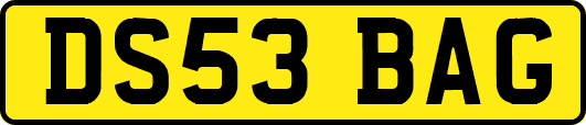 DS53BAG