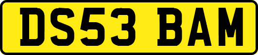 DS53BAM