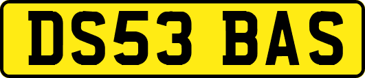 DS53BAS