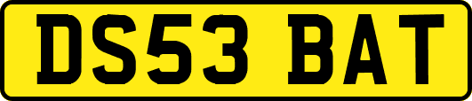 DS53BAT