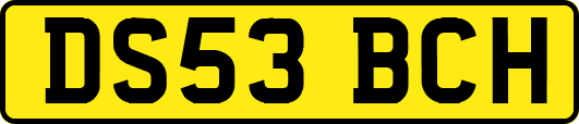 DS53BCH