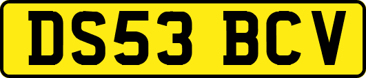 DS53BCV
