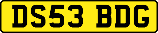 DS53BDG