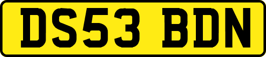 DS53BDN