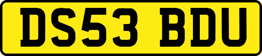 DS53BDU