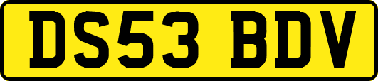 DS53BDV