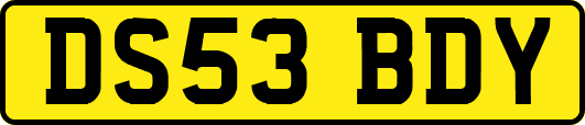 DS53BDY