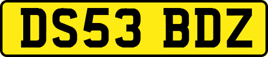 DS53BDZ