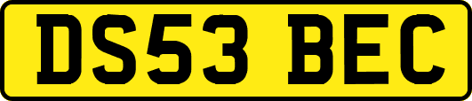 DS53BEC