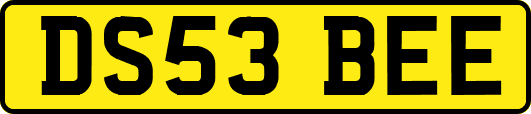 DS53BEE