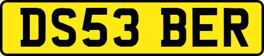 DS53BER