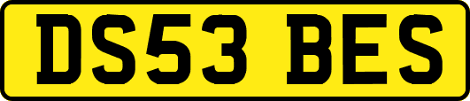 DS53BES