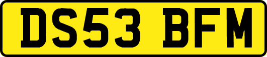 DS53BFM