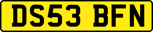 DS53BFN