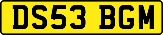 DS53BGM