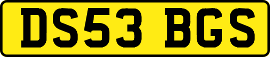 DS53BGS