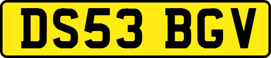 DS53BGV