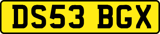 DS53BGX