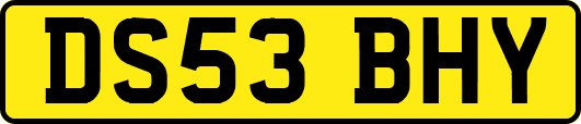 DS53BHY