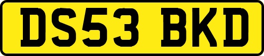 DS53BKD