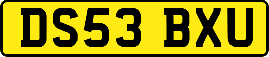 DS53BXU