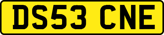 DS53CNE