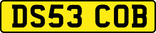 DS53COB