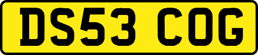 DS53COG