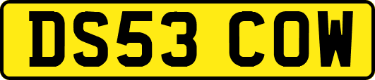 DS53COW