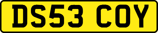 DS53COY