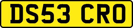 DS53CRO