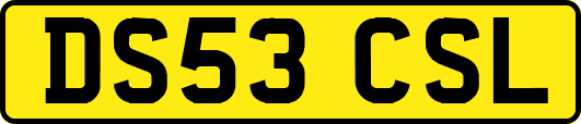 DS53CSL