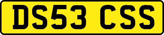 DS53CSS