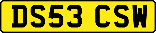 DS53CSW