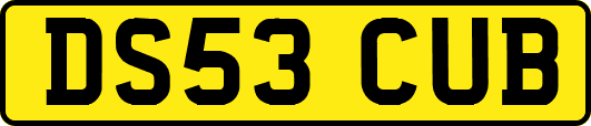 DS53CUB