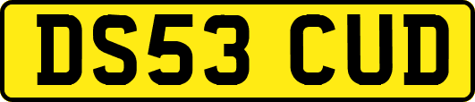 DS53CUD