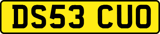 DS53CUO