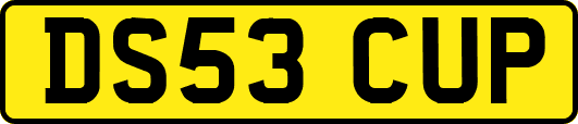 DS53CUP